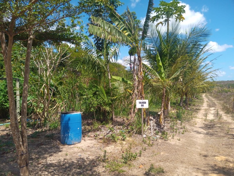 LOTE 001 Imóvel rural em Taipu/RN – 15,95 ha, galpão, casa, poços, irrigação, energia solar e cultiv, localizado em Taipu - RN