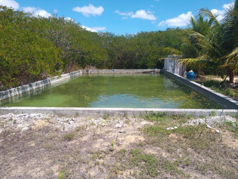 LOTE 001 Imóvel rural em Taipu/RN – 15,95 ha, galpão, casa, poços, irrigação, energia solar e cultiv, localizado em Taipu - RN