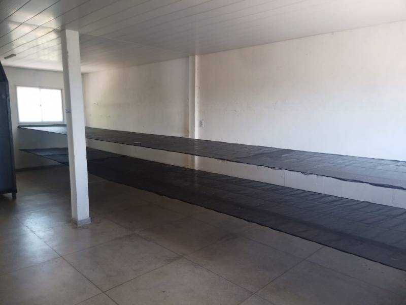 LOTE 001 Imóvel rural em Taipu/RN – 15,95 ha, galpão, casa, poços, irrigação, energia solar e cultiv, localizado em Taipu - RN