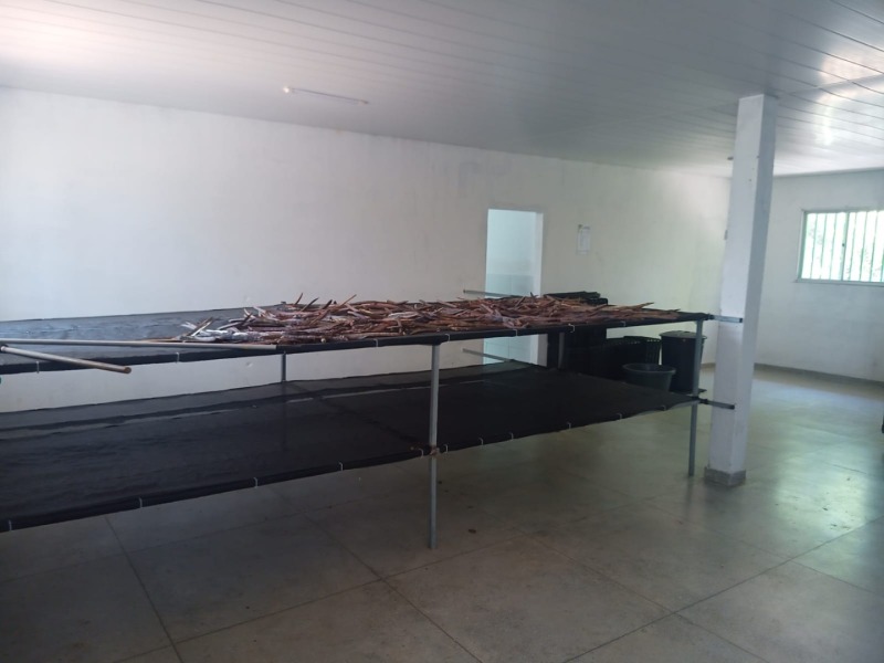 LOTE 001 Imóvel rural em Taipu/RN – 15,95 ha, galpão, casa, poços, irrigação, energia solar e cultiv, localizado em Taipu - RN
