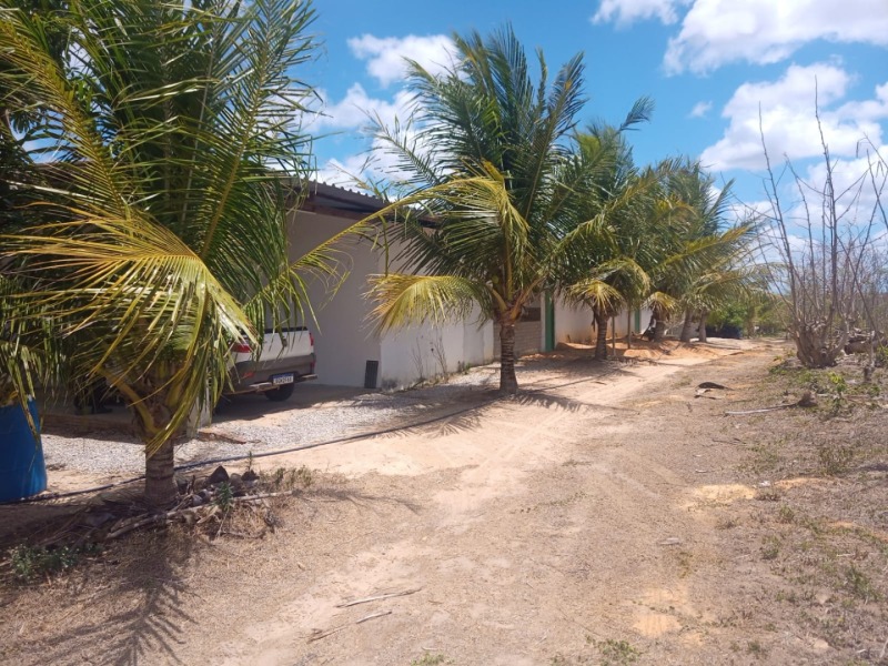 LOTE 001 Imóvel rural em Taipu/RN – 15,95 ha, galpão, casa, poços, irrigação, energia solar e cultiv, localizado em Taipu - RN