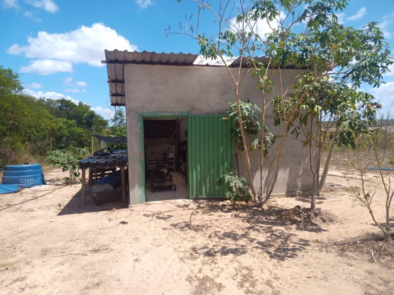 LOTE 001 Imóvel rural em Taipu/RN – 15,95 ha, galpão, casa, poços, irrigação, energia solar e cultiv, localizado em Taipu - RN