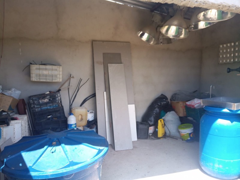LOTE 001 Imóvel rural em Taipu/RN – 15,95 ha, galpão, casa, poços, irrigação, energia solar e cultiv, localizado em Taipu - RN