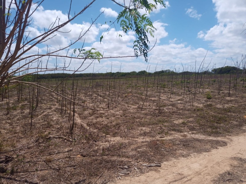 LOTE 001 Imóvel rural em Taipu/RN – 15,95 ha, galpão, casa, poços, irrigação, energia solar e cultiv, localizado em Taipu - RN