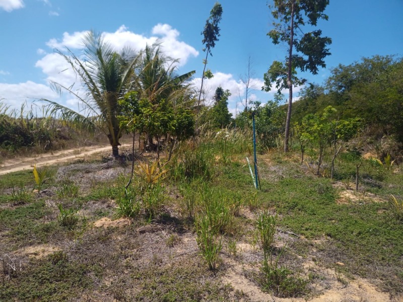 LOTE 001 Imóvel rural em Taipu/RN – 15,95 ha, galpão, casa, poços, irrigação, energia solar e cultiv, localizado em Taipu - RN