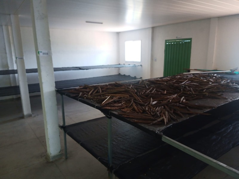 LOTE 001 Imóvel rural em Taipu/RN – 15,95 ha, galpão, casa, poços, irrigação, energia solar e cultiv, localizado em Taipu - RN