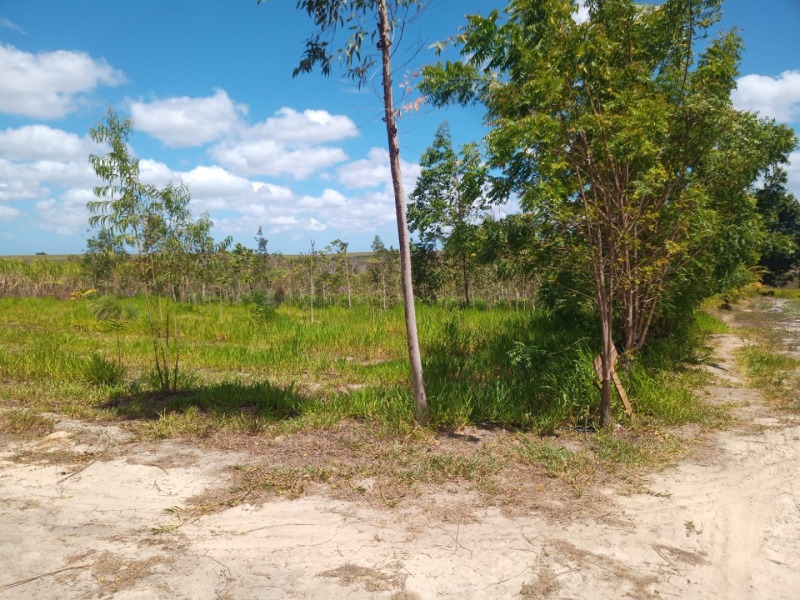 LOTE 001 Imóvel rural em Taipu/RN – 15,95 ha, galpão, casa, poços, irrigação, energia solar e cultiv, localizado em Taipu - RN