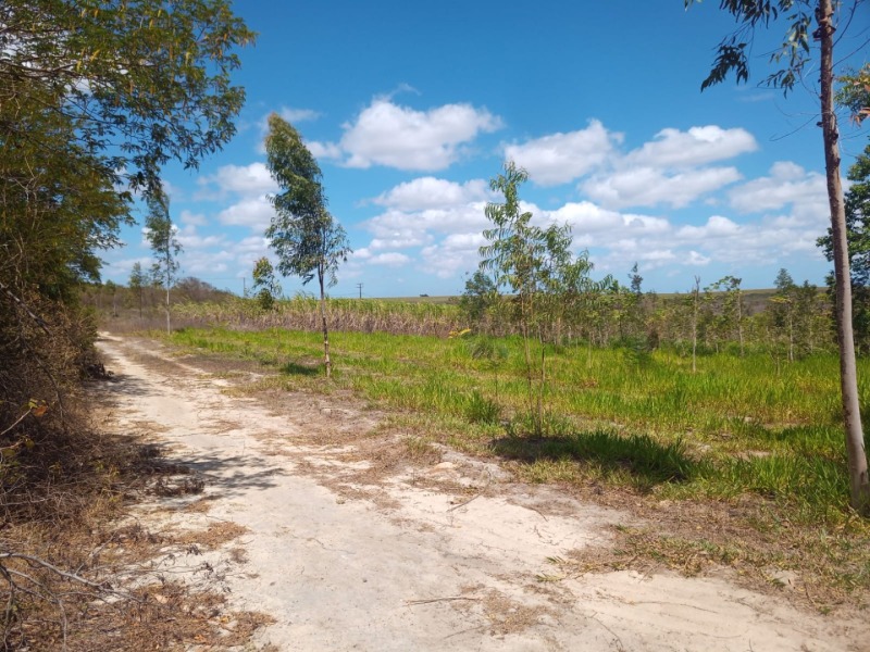 LOTE 001 Imóvel rural em Taipu/RN – 15,95 ha, galpão, casa, poços, irrigação, energia solar e cultiv, localizado em Taipu - RN