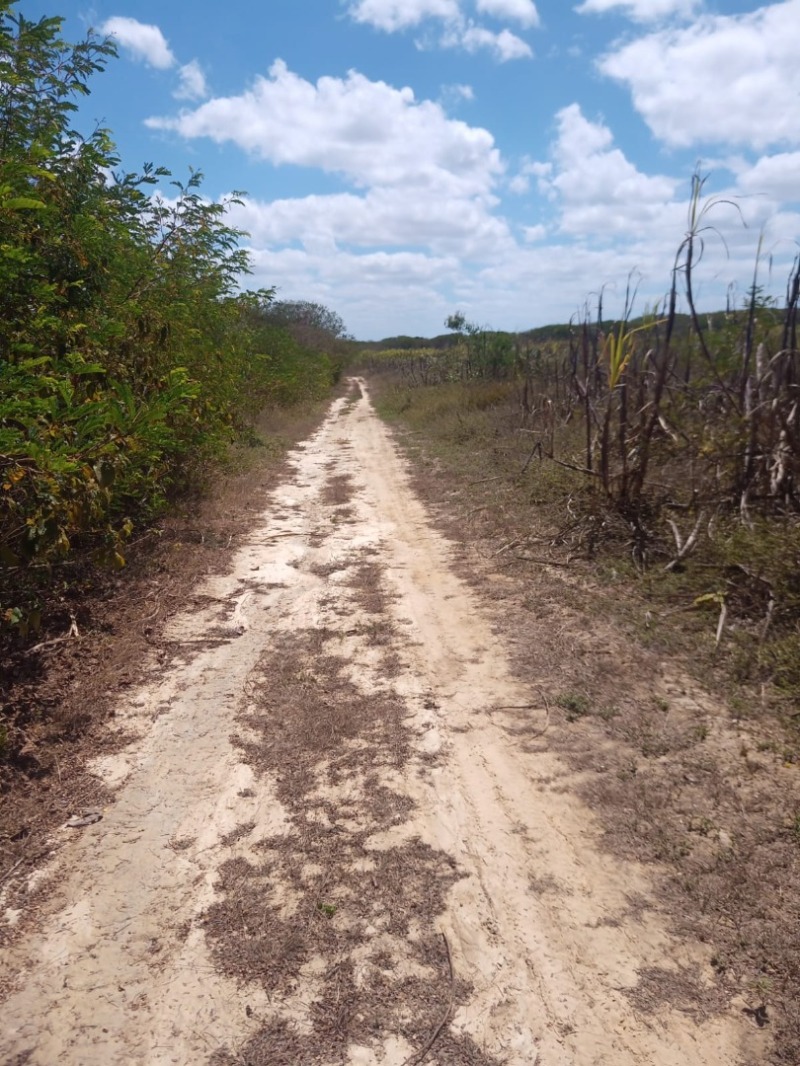 LOTE 001 Imóvel rural em Taipu/RN – 15,95 ha, galpão, casa, poços, irrigação, energia solar e cultiv, localizado em Taipu - RN