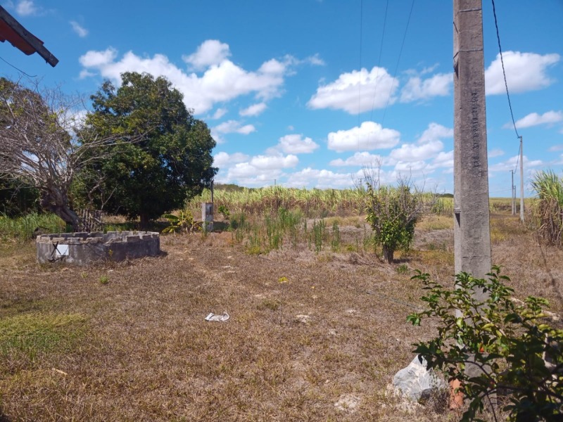 LOTE 001 Imóvel rural em Taipu/RN – 15,95 ha, galpão, casa, poços, irrigação, energia solar e cultiv, localizado em Taipu - RN