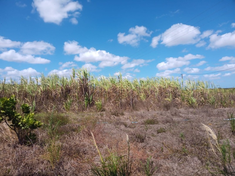LOTE 001 Imóvel rural em Taipu/RN – 15,95 ha, galpão, casa, poços, irrigação, energia solar e cultiv, localizado em Taipu - RN