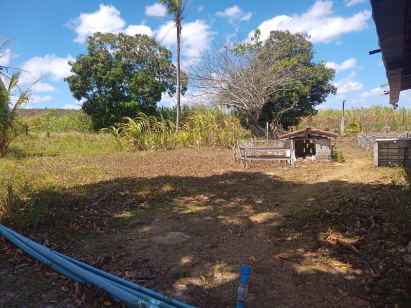 LOTE 001 Imóvel rural em Taipu/RN – 15,95 ha, galpão, casa, poços, irrigação, energia solar e cultiv, localizado em Taipu - RN
