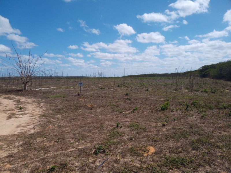 LOTE 001 Imóvel rural em Taipu/RN – 15,95 ha, galpão, casa, poços, irrigação, energia solar e cultiv, localizado em Taipu - RN