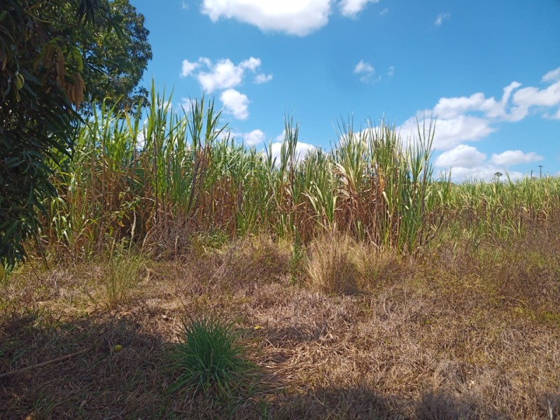 LOTE 001 Imóvel rural em Taipu/RN – 15,95 ha, galpão, casa, poços, irrigação, energia solar e cultiv, localizado em Taipu - RN