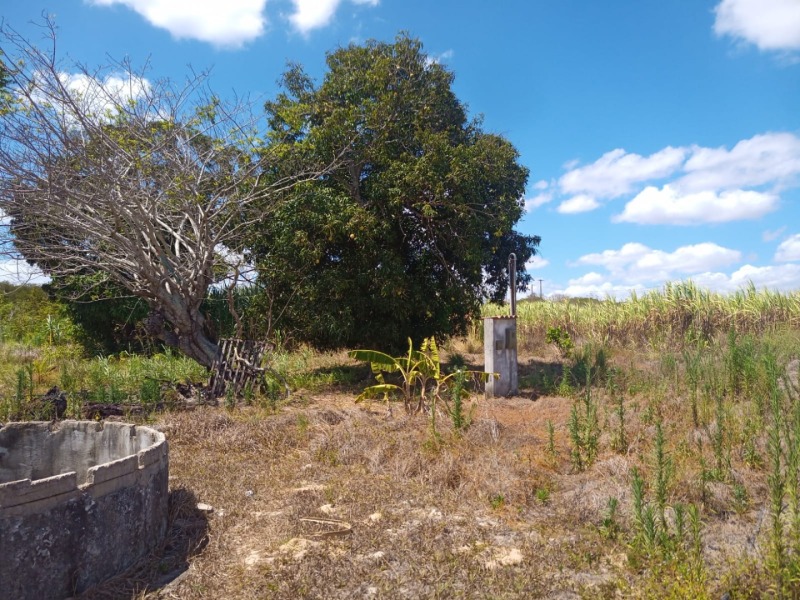 LOTE 001 Imóvel rural em Taipu/RN – 15,95 ha, galpão, casa, poços, irrigação, energia solar e cultiv, localizado em Taipu - RN