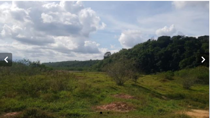 Sítio c/ 14ha, Núcleo Colonial São Bento, Belford Roxo/RJ - leilão judicial - Belford Roxo RJ - lance mínimo R$ 400.845