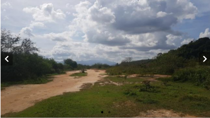 Sítio c/ 14ha., lote de terreno, nº 530, do extinto Núcleo Colonial São Bento, Belford Roxo/RJ - leilão judicial - Belford Roxo RJ - lance mínimo R$ 444.726