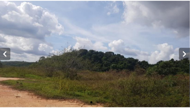 Sítio c/ 14ha., lote nº 531, do Núcleo Colonial São Bento, da 7ª Gleba, Belford Roxo/RJ - - leilão judicial - Belford Roxo RJ - lance mínimo R$ 321.444