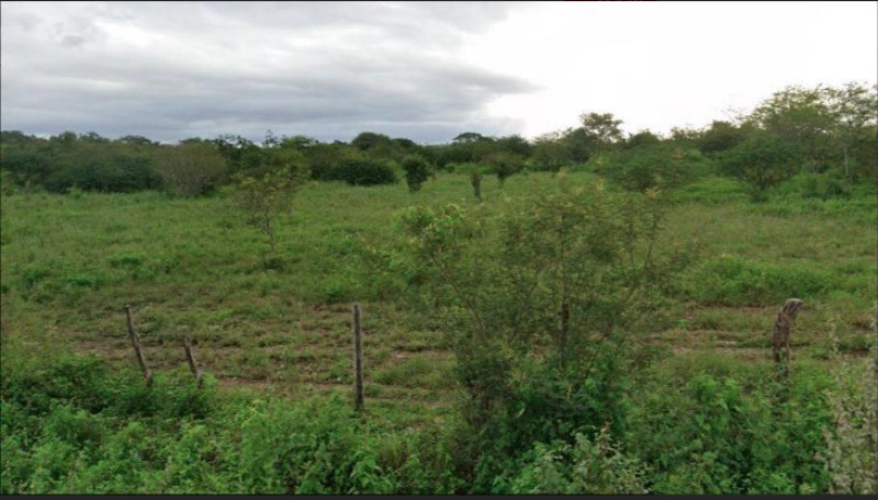 Leilão de Imóvel Rural Imóvel em Itaíba/PE - Lance Inicial R$ 330.000 - Judicial