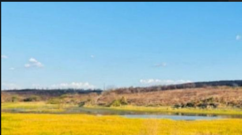 Barro/CE - Uma parte de terra no Sítio Cacimba de Porcos, de - leilão judicial - Barro CE - lance mínimo R$ 120.000