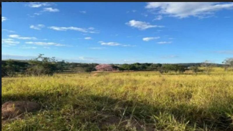Imóvel Rural em Leilão em Santa Rita De Cássia / BA - 225636